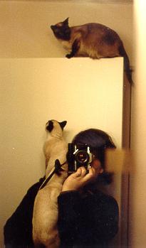 climb.jpg - 9589 Bytes